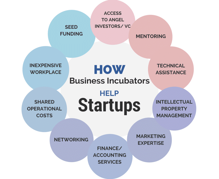 Startup Incubator Business model