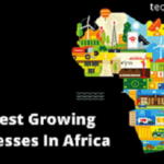 Fastest Growing Businesses In Africa
