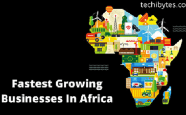 Fastest Growing Businesses In Africa