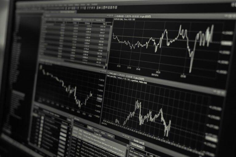 What Is a Wealth Management Software and Why Do You Need One?
