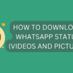 How To Download WhatsApp Status (Videos and Pictures)