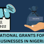 International Grants For Small Businesses In Nigeria