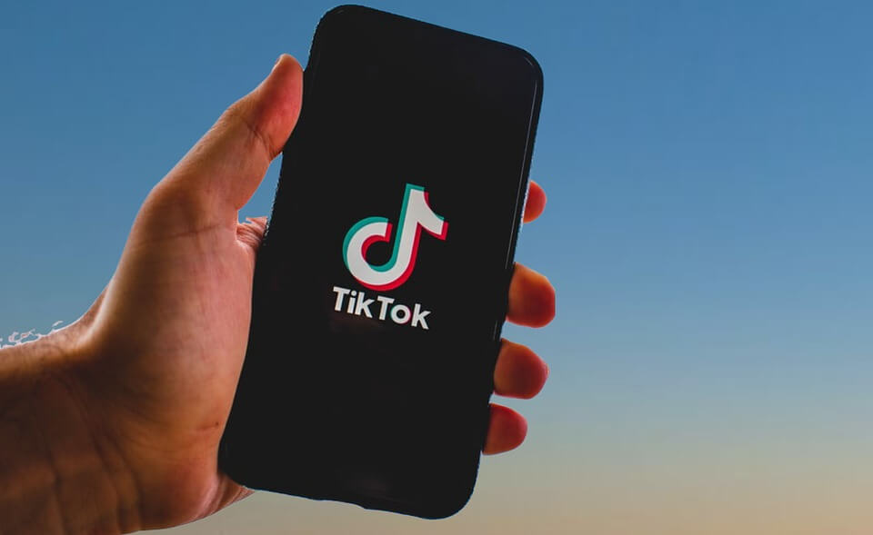 TikTok Video Downloader Online