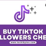 Buy TikTok Followers Cheap