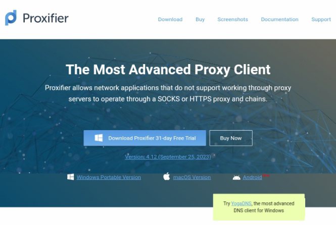 Proxy manager 