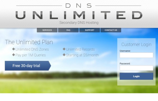 DNS propagation checker